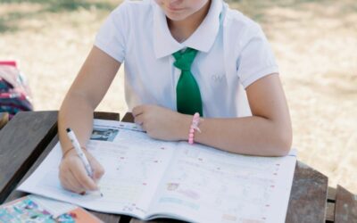 Où passer le brevet d’initiation aéronautique (BIA) en France ?