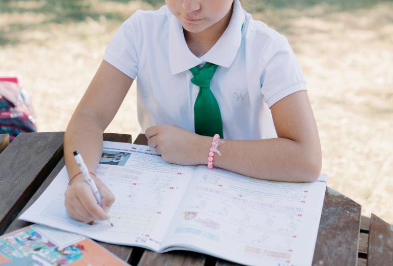 Où passer le brevet d’initiation aéronautique (BIA) en France ?
